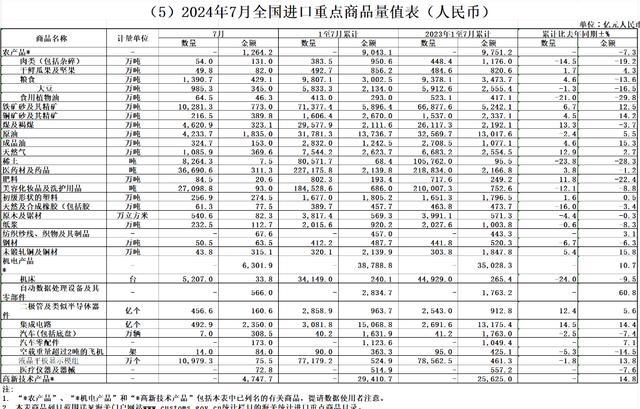 中国7月进口增速强劲回升至7.2% 制造业活动放缓背景下实现增长