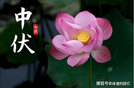 中伏撞上立秋，建议牢记“吃2果1菜，喝1宝”