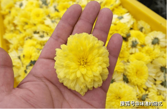 中伏撞上立秋，建议牢记“吃2果1菜，喝1宝”