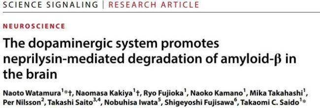 补充多巴胺，就可减轻阿尔茨海默病？清除毒性蛋白的新方法找到了