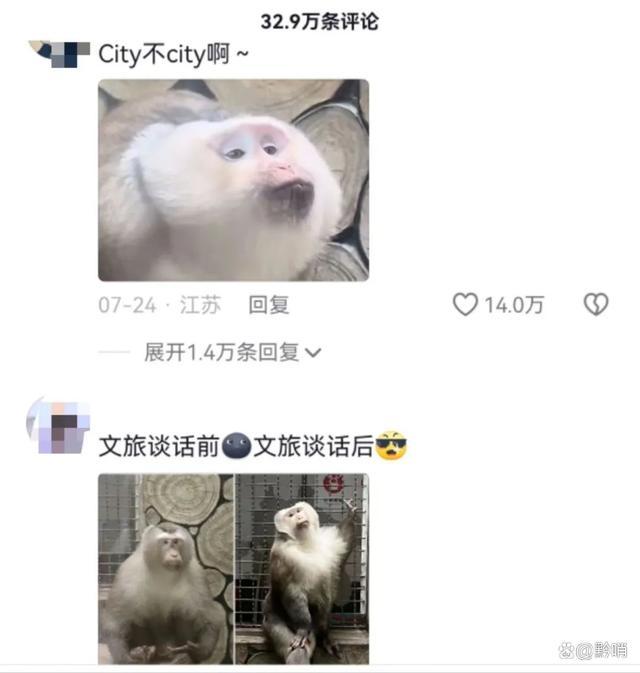 贵州黔灵山网红猴小老费征婚啦